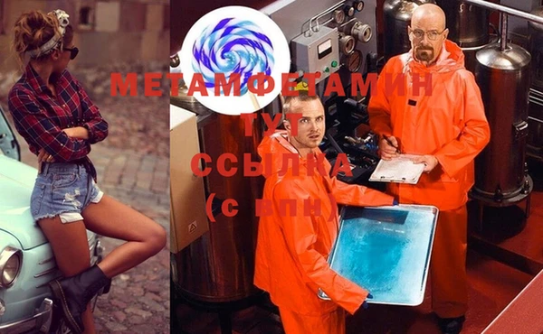 индика Волосово