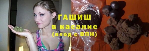 индика Волосово