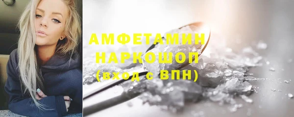 индика Волосово