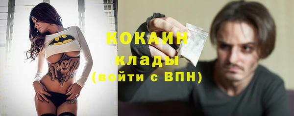 индика Волосово