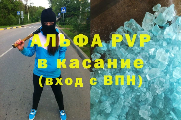 индика Волосово