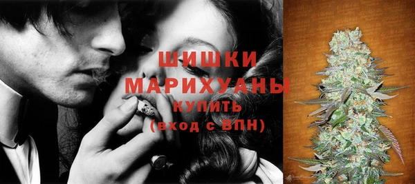 индика Волосово