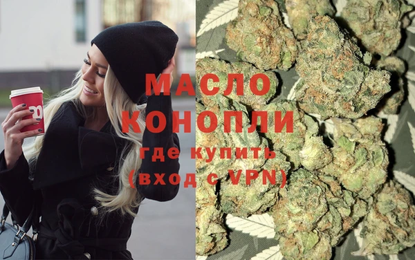 индика Волосово